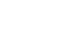 New Orga